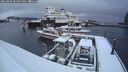 ./images/quadra/hbidock/20250202/hbidock20250202_084000M.jpg