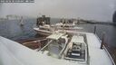 ./images/quadra/hbidock/20250202/hbidock20250202_101500M.jpg