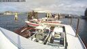 ./images/quadra/hbidock/20250202/hbidock20250202_120000M.jpg