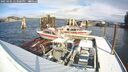 ./images/quadra/hbidock/20250202/hbidock20250202_123000M.jpg