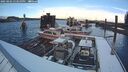 ./images/quadra/hbidock/20250202/hbidock20250202_153010M.jpg