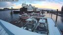 ./images/quadra/hbidock/20250202/hbidock20250202_165000M.jpg
