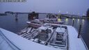 ./images/quadra/hbidock/20250203/hbidock20250203_073009M.jpg