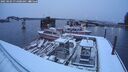 ./images/quadra/hbidock/20250203/hbidock20250203_074008M.jpg