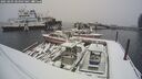 ./images/quadra/hbidock/20250203/hbidock20250203_104007M.jpg