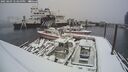 ./images/quadra/hbidock/20250203/hbidock20250203_123500M.jpg