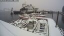./images/quadra/hbidock/20250203/hbidock20250203_125000M.jpg