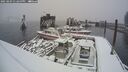 ./images/quadra/hbidock/20250203/hbidock20250203_132500M.jpg