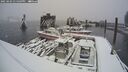 ./images/quadra/hbidock/20250203/hbidock20250203_134509M.jpg