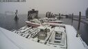 ./images/quadra/hbidock/20250203/hbidock20250203_135009M.jpg
