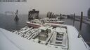 ./images/quadra/hbidock/20250203/hbidock20250203_135508M.jpg