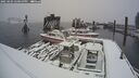 ./images/quadra/hbidock/20250203/hbidock20250203_141000M.jpg