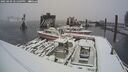 ./images/quadra/hbidock/20250203/hbidock20250203_141509M.jpg