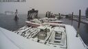 ./images/quadra/hbidock/20250203/hbidock20250203_142509M.jpg