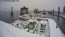./images/quadra/hbidock/20250203/hbidock20250203_144000M.jpg