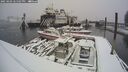./images/quadra/hbidock/20250203/hbidock20250203_145507M.jpg