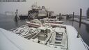./images/quadra/hbidock/20250203/hbidock20250203_150010M.jpg