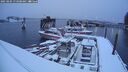 ./images/quadra/hbidock/20250204/hbidock20250204_073508M.jpg