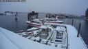 ./images/quadra/hbidock/20250204/hbidock20250204_074009M.jpg