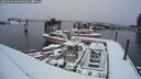 ./images/quadra/hbidock/20250204/hbidock20250204_080500M.jpg