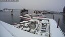 ./images/quadra/hbidock/20250204/hbidock20250204_081000M.jpg