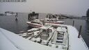 ./images/quadra/hbidock/20250204/hbidock20250204_082508M.jpg