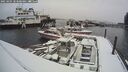 ./images/quadra/hbidock/20250204/hbidock20250204_103500M.jpg