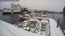 ./images/quadra/hbidock/20250204/hbidock20250204_103508M.jpg