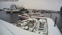 ./images/quadra/hbidock/20250204/hbidock20250204_110500M.jpg