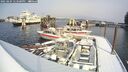 ./images/quadra/hbidock/20250204/hbidock20250204_123500M.jpg