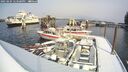 ./images/quadra/hbidock/20250204/hbidock20250204_123508M.jpg