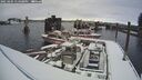 ./images/quadra/hbidock/20250204/hbidock20250204_134008M.jpg