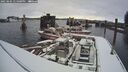 ./images/quadra/hbidock/20250204/hbidock20250204_135000M.jpg