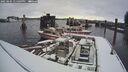 ./images/quadra/hbidock/20250204/hbidock20250204_135009M.jpg