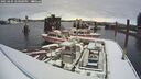 ./images/quadra/hbidock/20250204/hbidock20250204_140000M.jpg