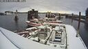 ./images/quadra/hbidock/20250204/hbidock20250204_140010M.jpg