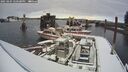 ./images/quadra/hbidock/20250204/hbidock20250204_140500M.jpg
