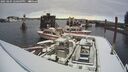 ./images/quadra/hbidock/20250204/hbidock20250204_140509M.jpg