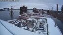 ./images/quadra/hbidock/20250204/hbidock20250204_173500M.jpg