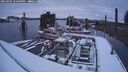 ./images/quadra/hbidock/20250204/hbidock20250204_174006M.jpg