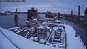 ./images/quadra/hbidock/20250204/hbidock20250204_174510M.jpg