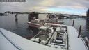./images/quadra/hbidock/20250205/hbidock20250205_094500M.jpg