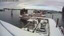 ./images/quadra/hbidock/20250205/hbidock20250205_100000M.jpg