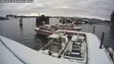 ./images/quadra/hbidock/20250205/hbidock20250205_103010M.jpg