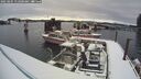 ./images/quadra/hbidock/20250205/hbidock20250205_112000M.jpg