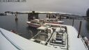 ./images/quadra/hbidock/20250205/hbidock20250205_122500M.jpg