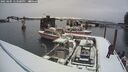 ./images/quadra/hbidock/20250205/hbidock20250205_123500M.jpg
