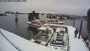 ./images/quadra/hbidock/20250205/hbidock20250205_123506M.jpg