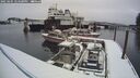 ./images/quadra/hbidock/20250205/hbidock20250205_124500M.jpg