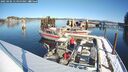 ./images/quadra/hbidock/20250206/hbidock20250206_115000M.jpg